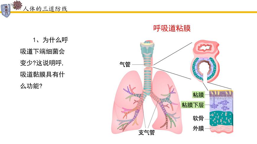 4.7.2免疫与免疫规划课件2024-2025学年人教版生物八年级上册第8页