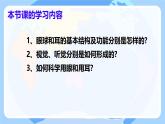 6.1 人體對外界環(huán)境的感知（第1課時）課件2024-2025學年人教版生物八年級上冊