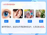 6.1 人體對外界環(huán)境的感知（第1課時）課件2024-2025學年人教版生物八年級上冊