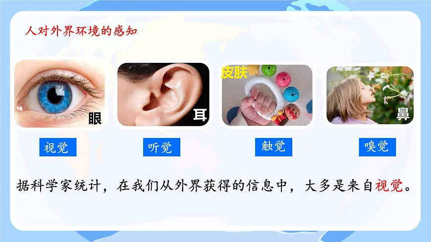 6.1 人体对外界环境的感知（第1课时）课件2024-2025学年人教版生物八年级上册第5页