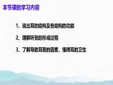 6.1 人體對外界環(huán)境的感知（第2課時）課件2024-2025學年人教版生物八年級上冊