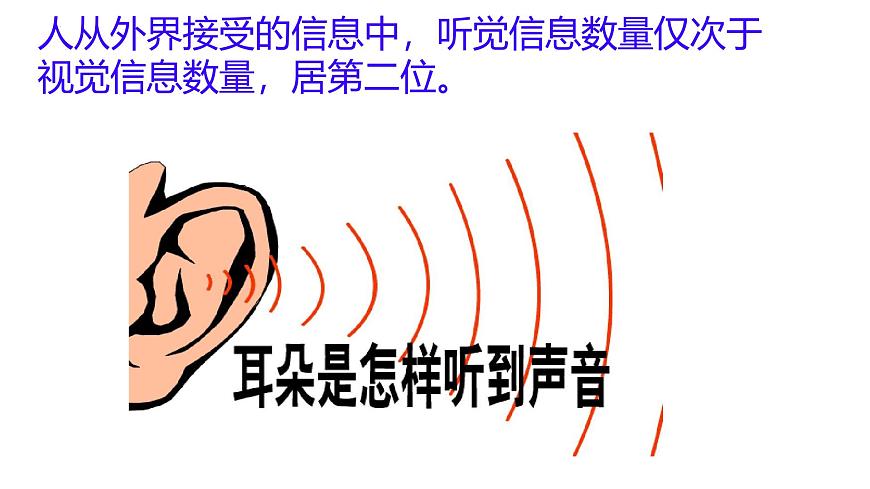 6.1 人体对外界环境的感知（第2课时）课件2024-2025学年人教版生物八年级上册第5页