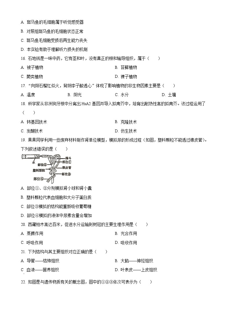 2025年福建省三明市中考二模生物试题（原卷版+解析版）第3页