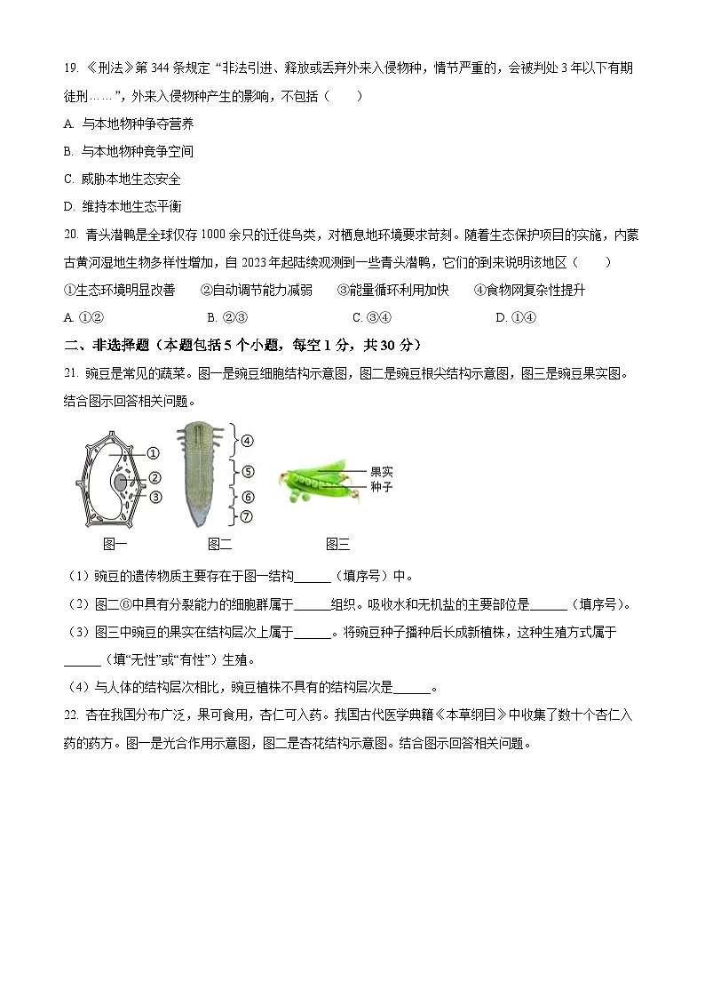 2025年河南省商丘市夏邑县中考一模生物试题（原卷版+解析版）第3页