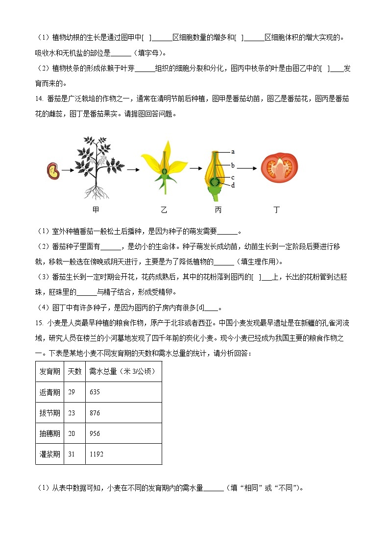 辽宁省大连市金州区2024-2025学年七年级下学期4月月考生物试题（原卷版+解析版）第3页