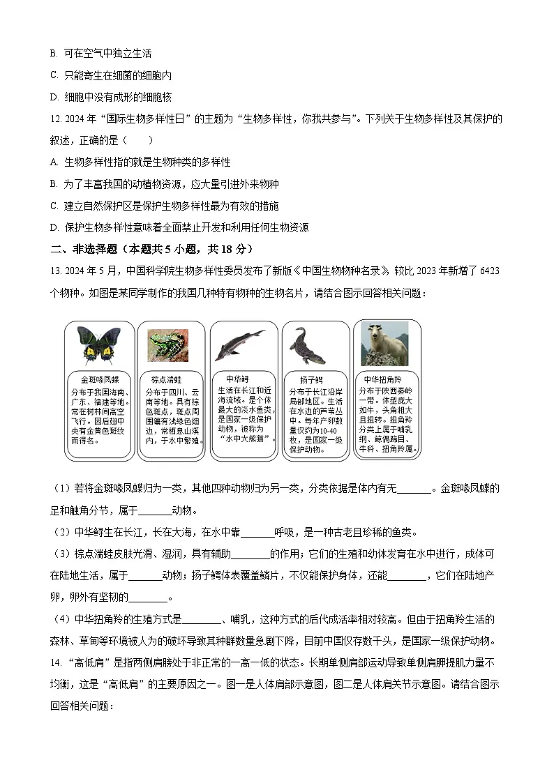 辽宁省大连市沙河口区2024-2025学年八年级上学期生物期末试题（原卷版+解析版）第3页