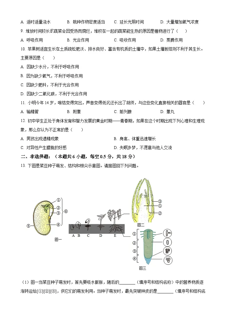 辽宁省大连市瓦房店市2024-2025学年七年级下学期4月月考生物试题（原卷版+解析版）第2页