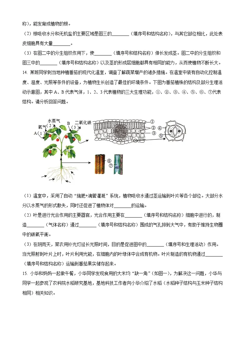 辽宁省大连市瓦房店市2024-2025学年七年级下学期4月月考生物试题（原卷版+解析版）第3页