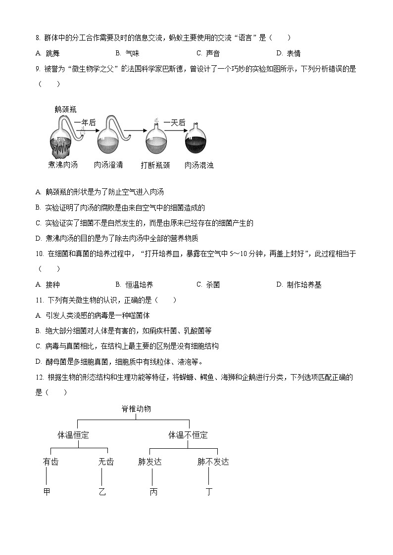 辽宁省丹东市东港市2024-2025学年八年级上学期期末生物试题（原卷版+解析版）第2页