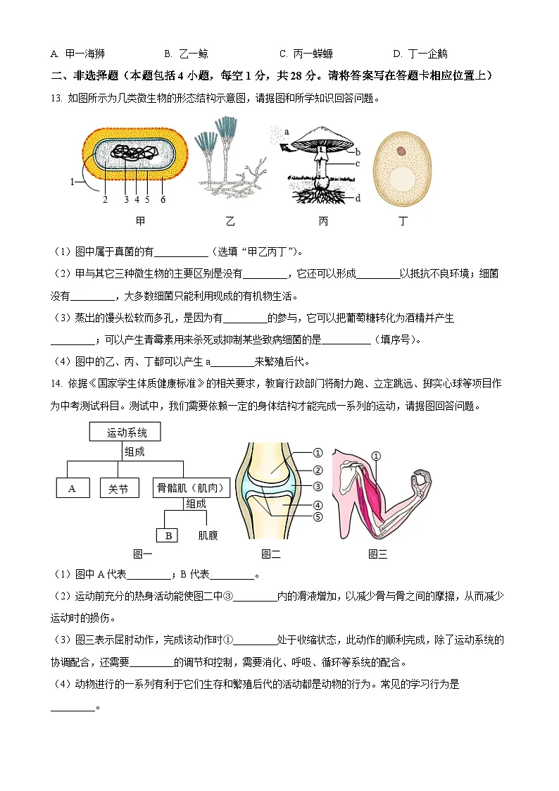 辽宁省丹东市东港市2024-2025学年八年级上学期期末生物试题（原卷版+解析版）第3页