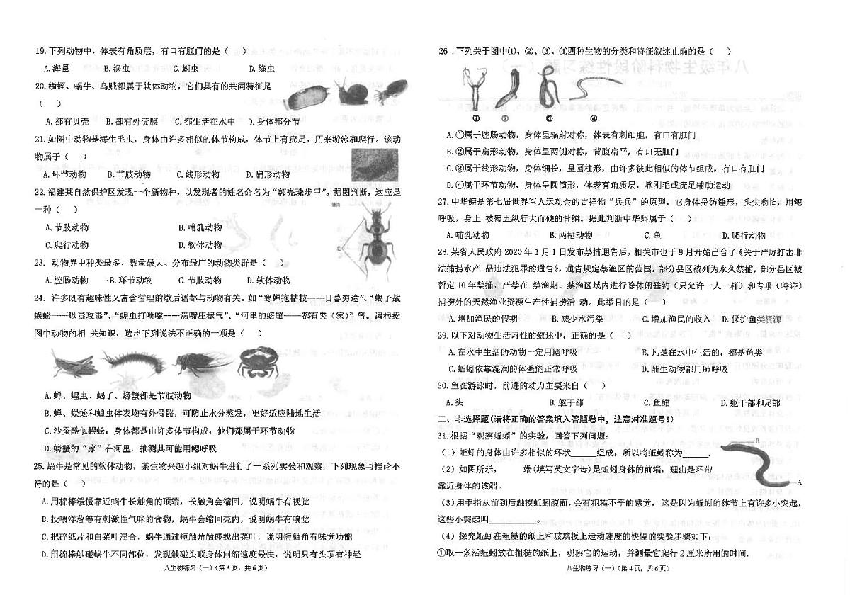 广东省汕头市潮南区陈店实验学校2024-2025学年八年级上学期9月月考生物试题第2页