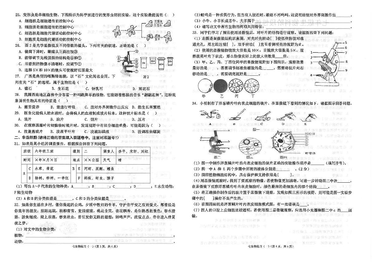 广东省汕头市潮南区陈店实验学校2024-2025学年七年级上学期9月月考生物试题第2页