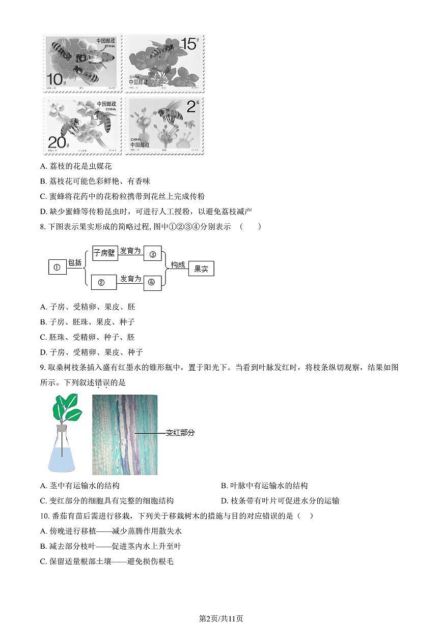 北京市海淀区进修学校2024-2025学年第二学期七年级生物期中试卷第2页