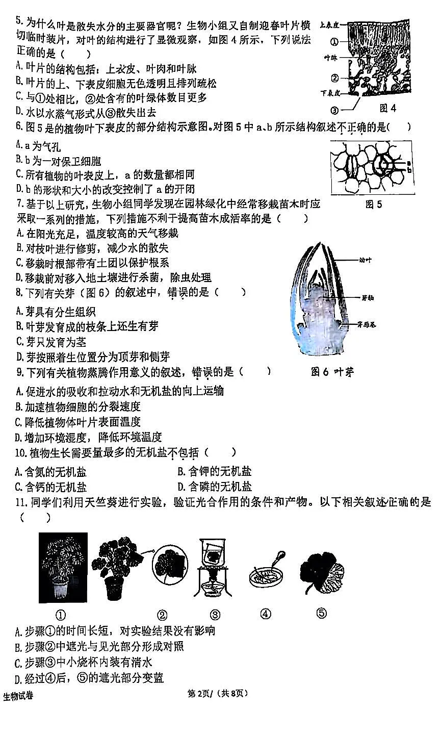 北京市十三中分校2024-2025学年第二学期七年级生物期中试卷第2页