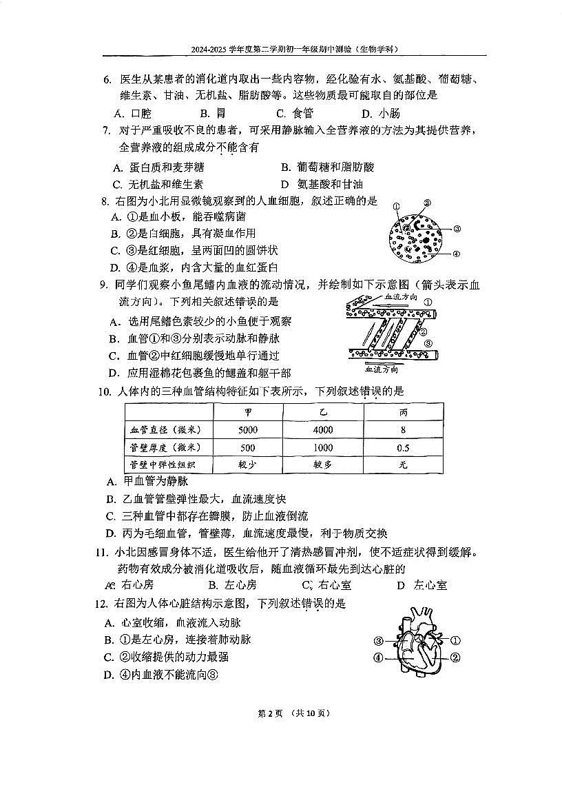 北京市四中2024-2025学年第二学期七年级生物期中试卷第2页