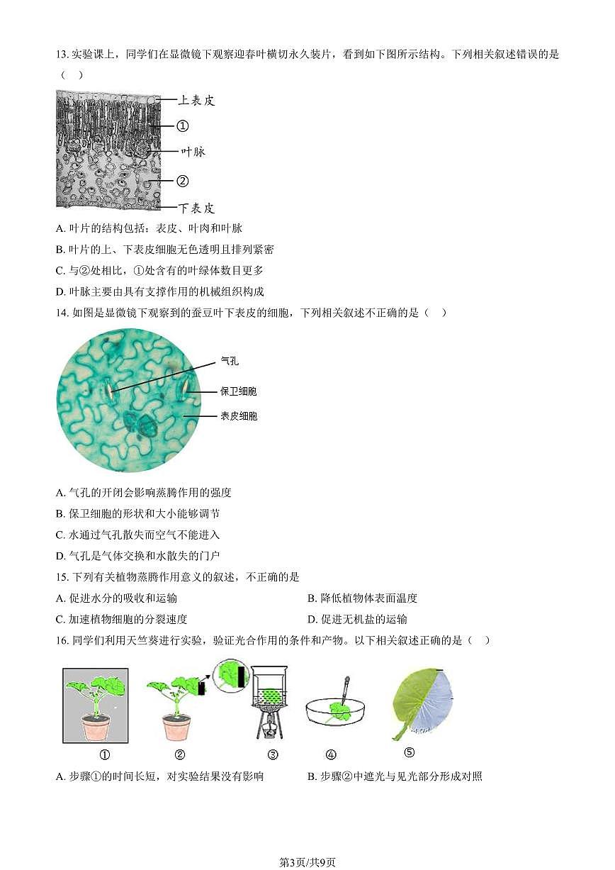 北京市五中分校2024-2025学年第二学期七年级生物期中试卷第3页