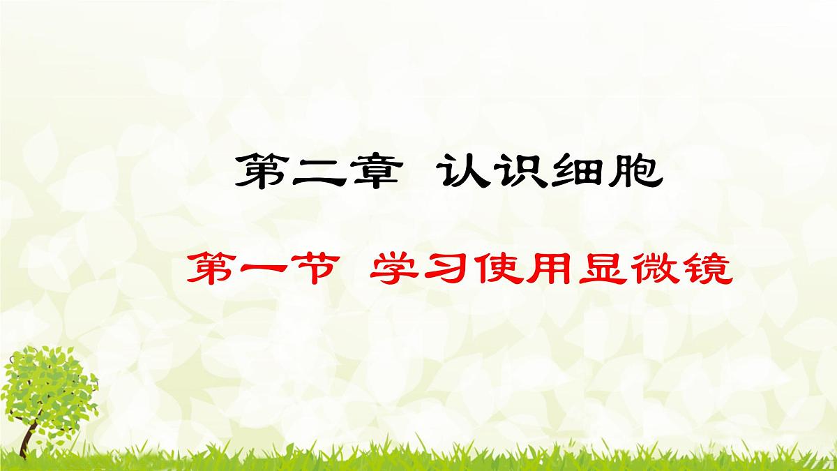 人教版生物七年级上册 1.2.1  学习使用显微镜 (1) 课件第1页