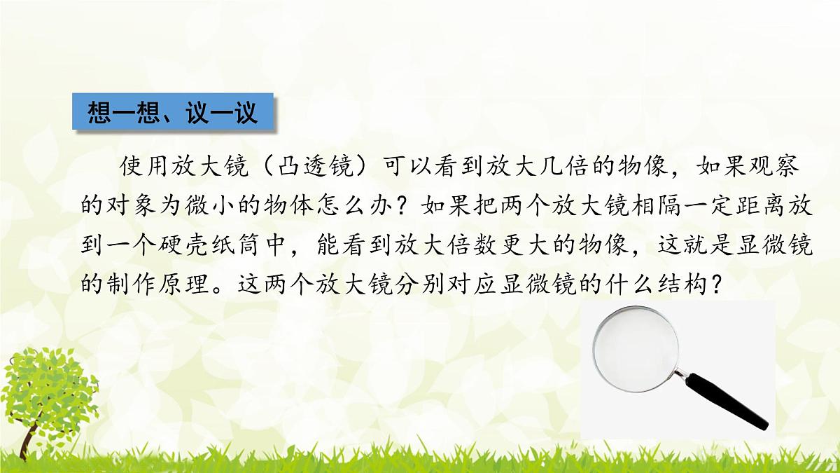 人教版生物七年级上册 1.2.1  学习使用显微镜 (1) 课件第2页