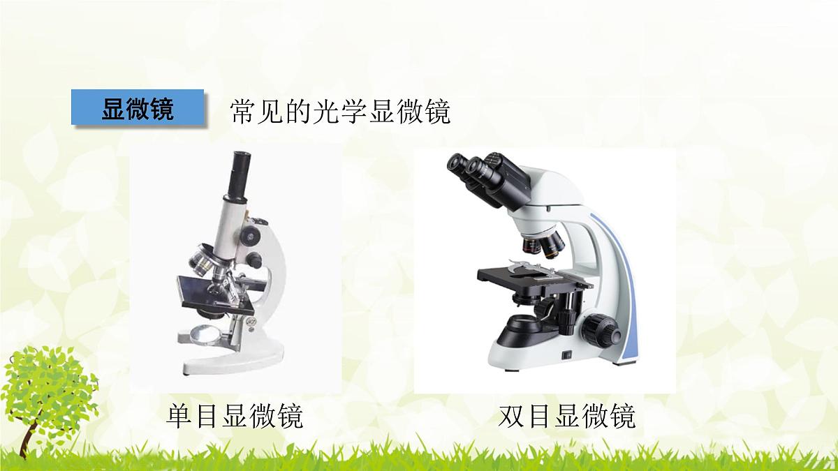 人教版生物七年级上册 1.2.1  学习使用显微镜 (1) 课件第3页