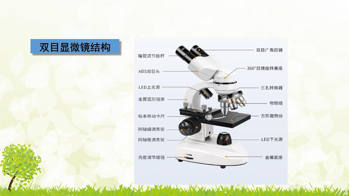 人教版生物七年级上册 1.2.1  学习使用显微镜 (1) 课件第6页
