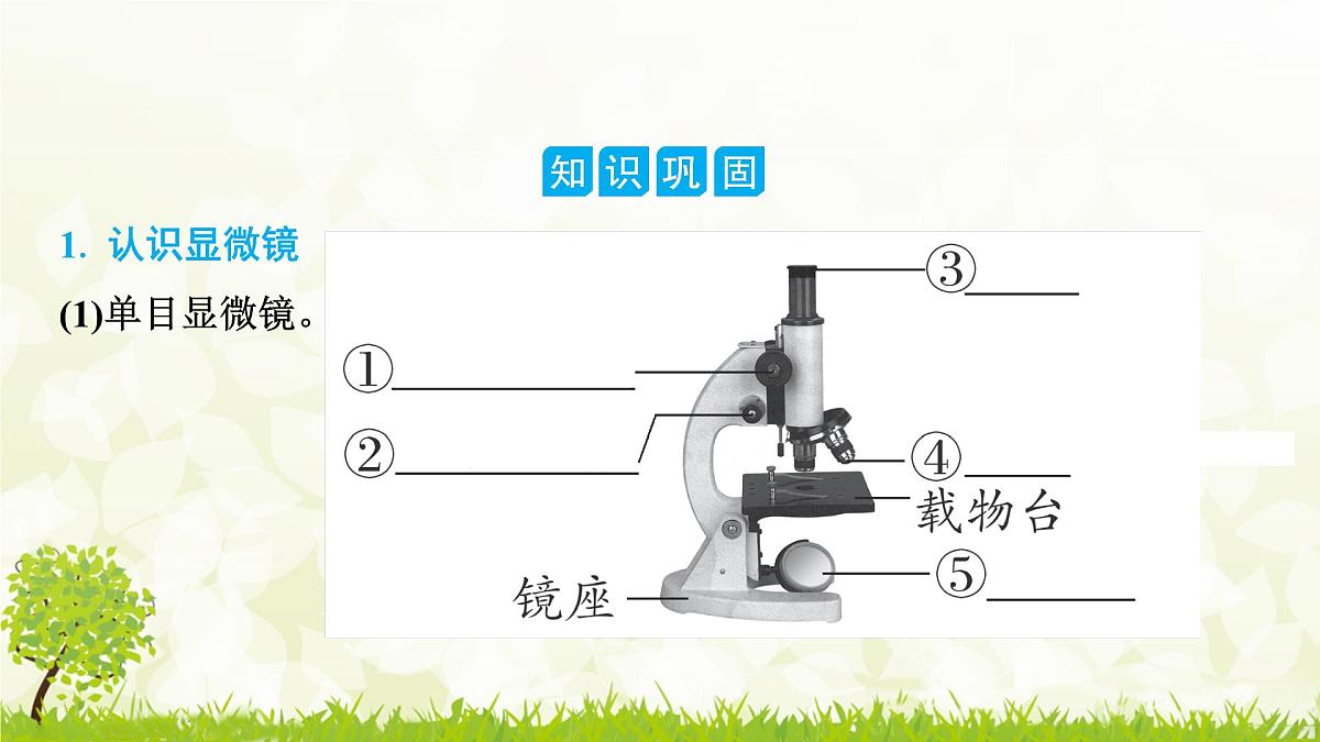 人教版生物七年级上册 1.2.1　学习使用显微镜 课件第2页