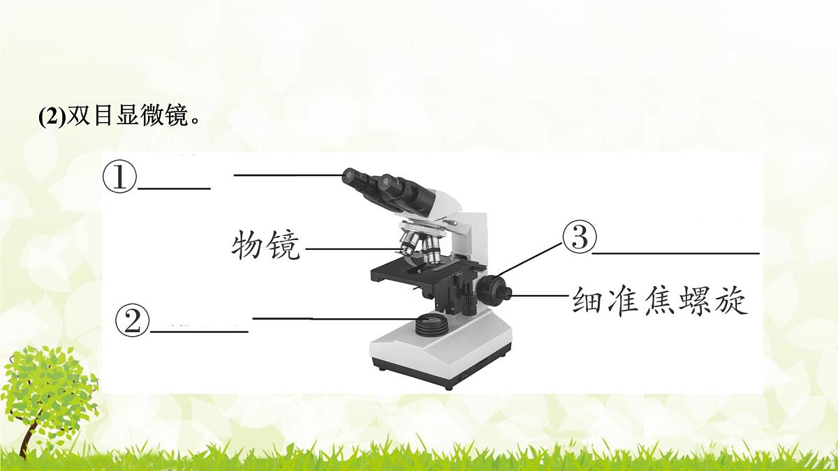 人教版生物七年级上册 1.2.1　学习使用显微镜 课件第3页