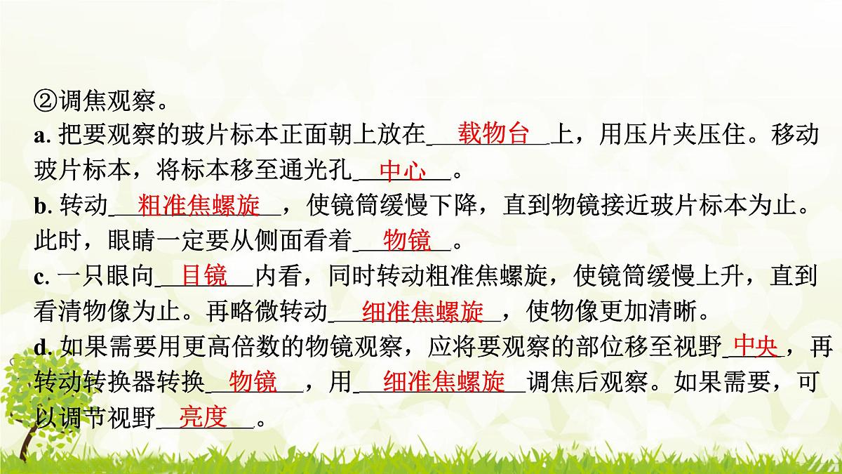 人教版生物七年级上册 1.2.1　学习使用显微镜 课件第5页