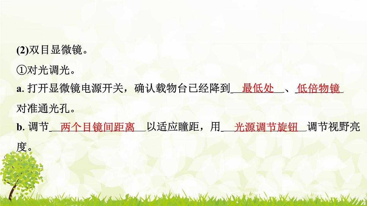 人教版生物七年级上册 1.2.1　学习使用显微镜 课件第6页