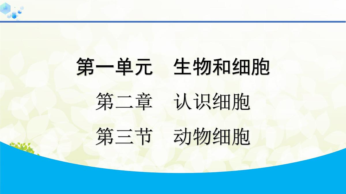 人教版生物七年级上册 1.2.3　动物细胞 课件第1页