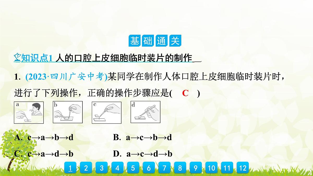 人教版生物七年级上册 1.2.3　动物细胞 课件第5页