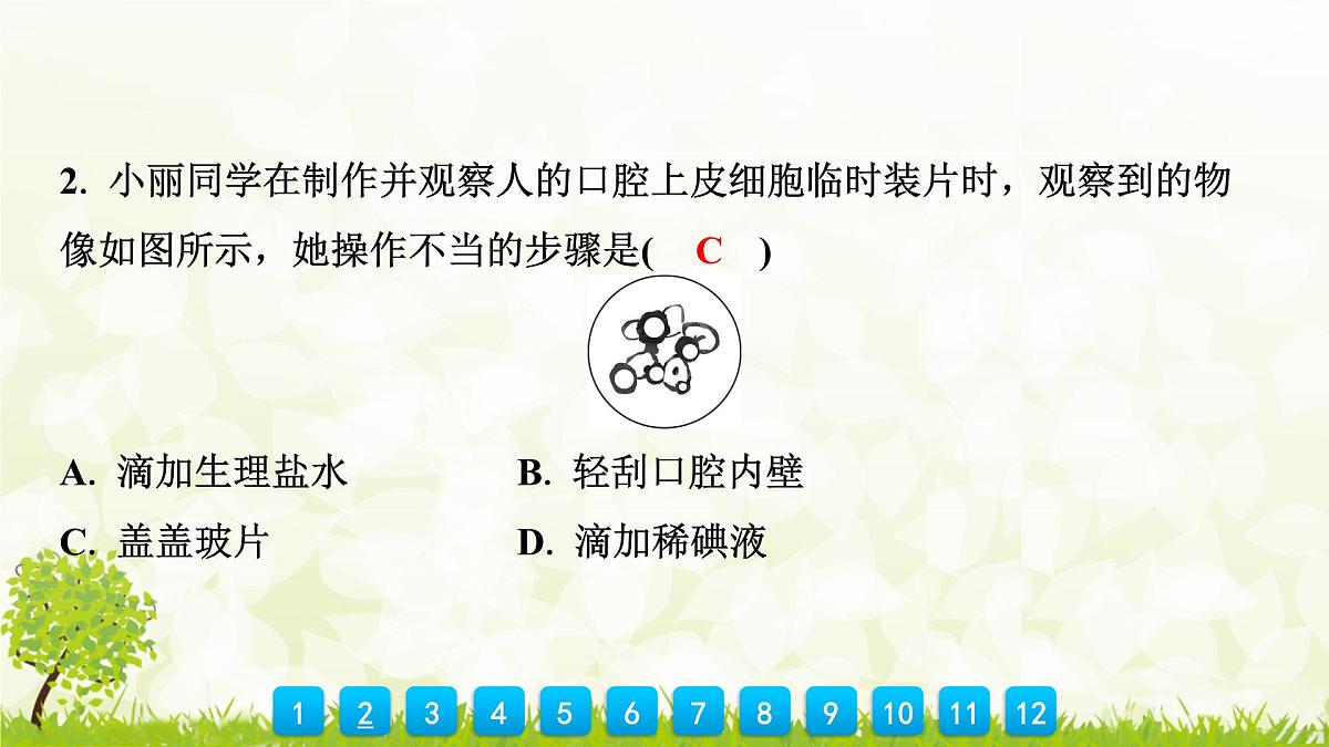 人教版生物七年级上册 1.2.3　动物细胞 课件第6页