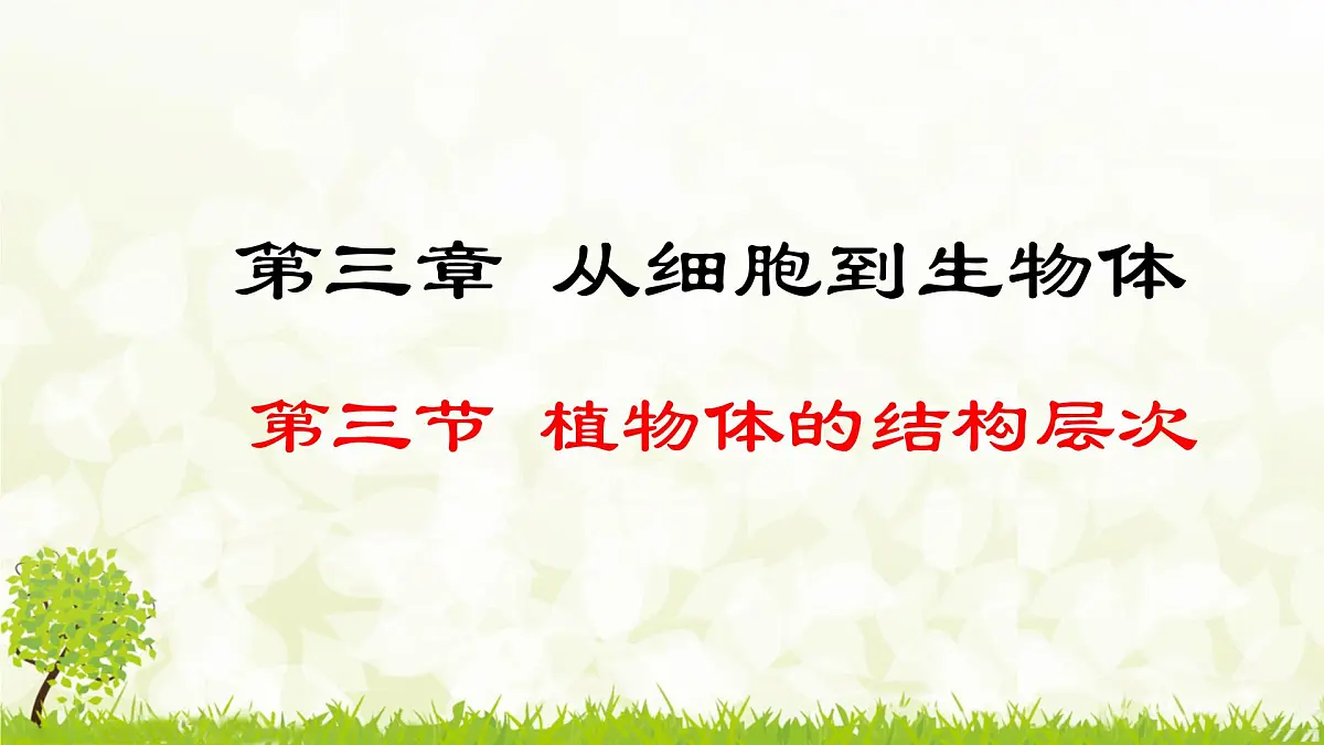 人教版生物七年级上册 1.3.3 植物体的结构层次 课件第1页