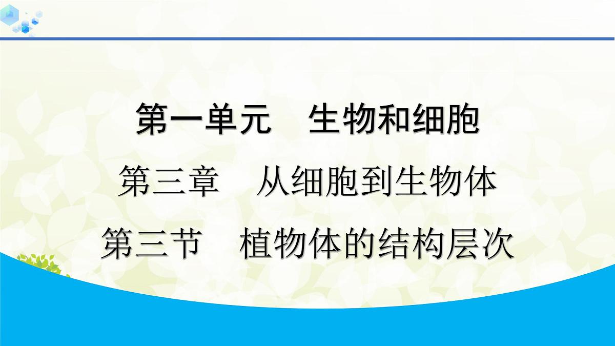人教版生物七年级上册 1.3.3　植物体的结构层次 课件第1页
