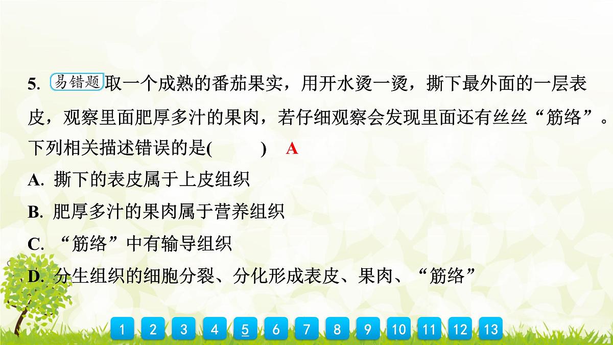 人教版生物七年级上册 1.3.3　植物体的结构层次 课件第8页