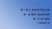 七年级上册(2024)种子植物集体备课ppt课件
