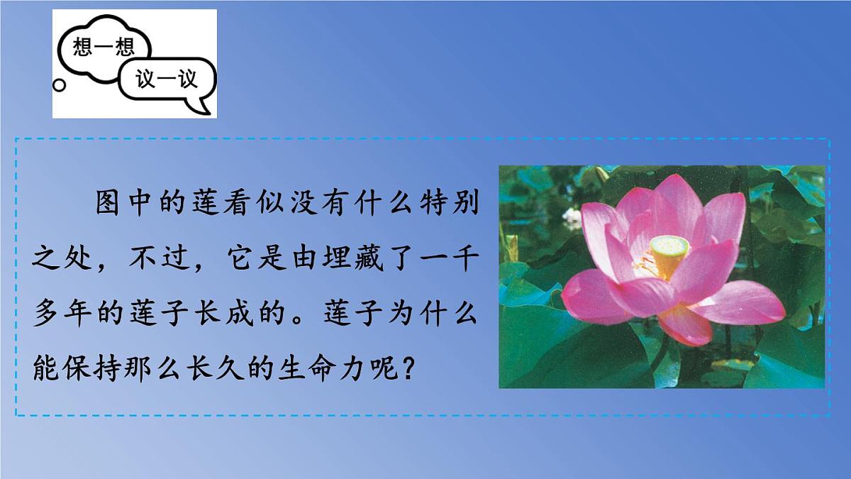 人教版生物七年级上册 2.1.2 种子植物 课件第5页
