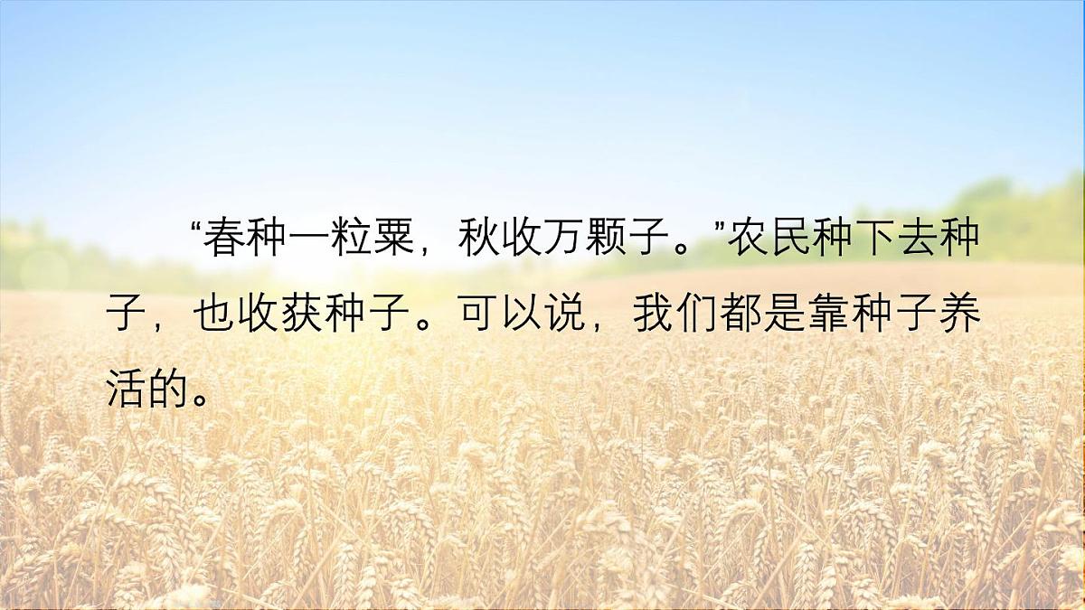 人教版生物七年级上册 2.1.2 种子植物 课件第6页