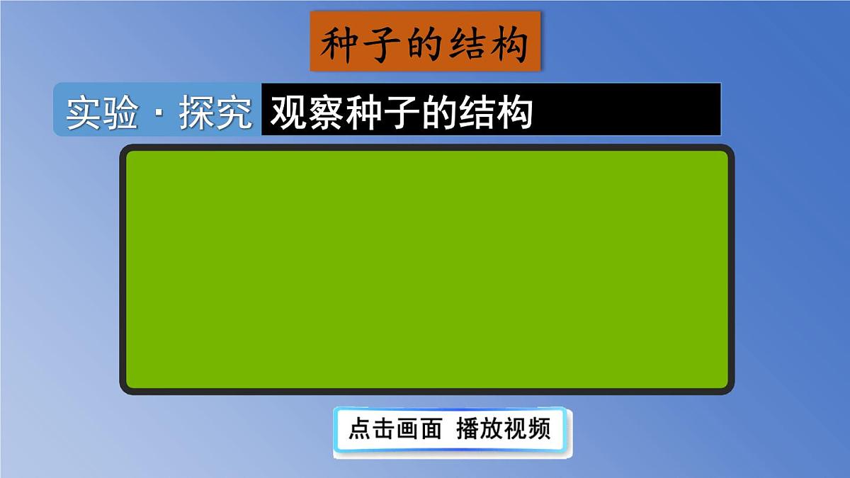 人教版生物七年级上册 2.1.2 种子植物 课件第8页