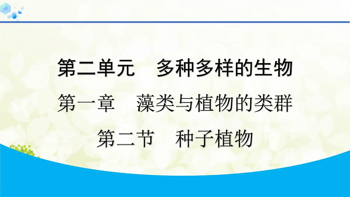 人教版生物七年级上册 2.1.2　种子植物 课件第1页