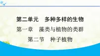 初中生物人教版(2024)七年级上册(2024)种子植物授课ppt课件