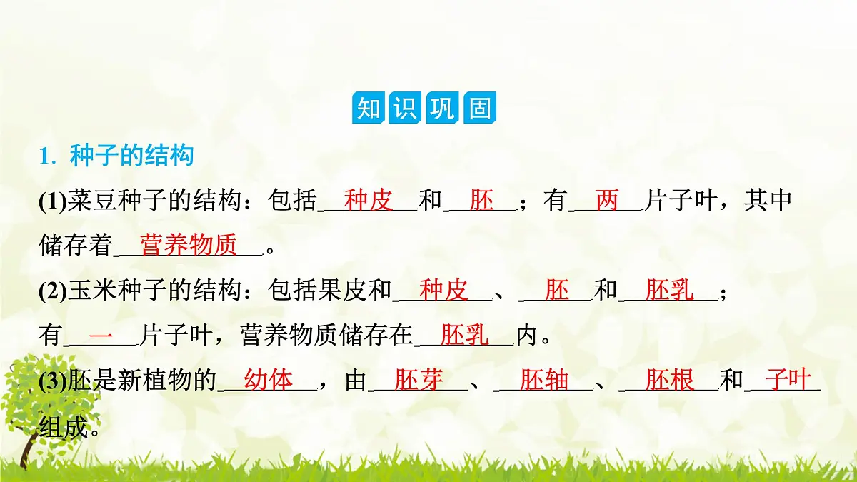 人教版生物七年级上册 2.1.2　种子植物 课件第2页