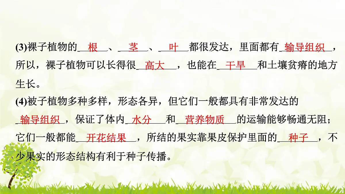 人教版生物七年级上册 2.1.2　种子植物 课件第5页