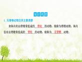 人教版生物七年級(jí)上冊(cè) 2.2.1　無(wú)脊椎動(dòng)物 課件