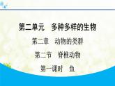 人教版生物七年级上册 2.2.2　第1课时　鱼 课件