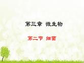 人教版生物七年级上册 2.3.2  细菌 课件