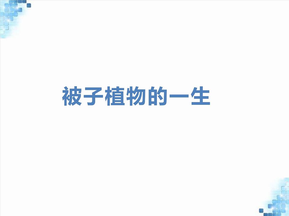 2024-2025学年人教版生物七年级下册 3.1.1 种子的萌发 课件第1页