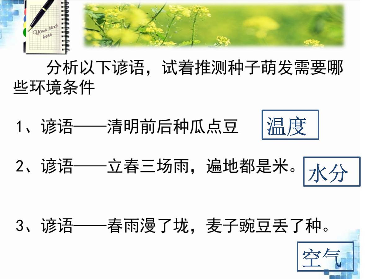 2024-2025学年人教版生物七年级下册 3.1.1 种子的萌发 课件第3页