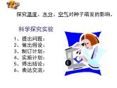 2024-2025學(xué)年人教版生物七年級下冊 3.1.1  種子的萌發(fā)  課件