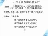2024-2025學(xué)年人教版生物七年級下冊 3.1.1  種子的萌發(fā)  課件