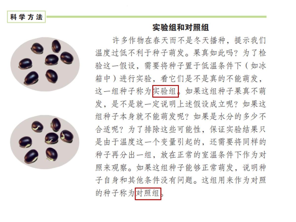 2024-2025学年人教版生物七年级下册 3.1.1 种子的萌发 课件第6页